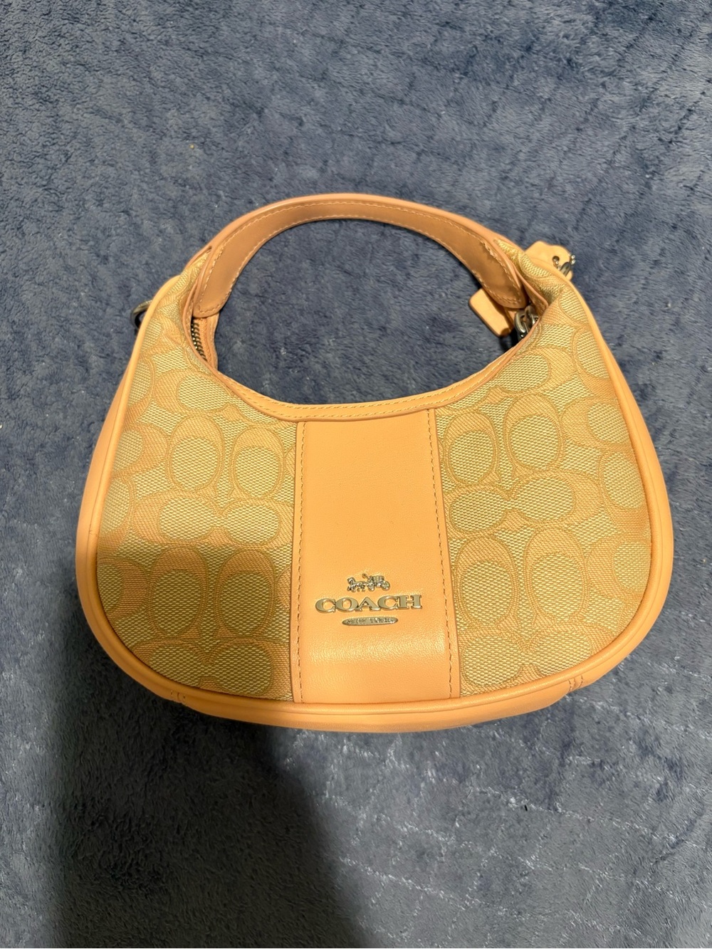 Coach Small Hobo Bag in Light Tan and Beige